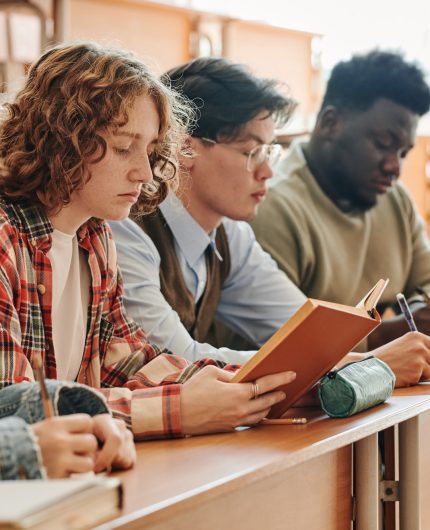 Row of multicultural teenage students of university sitting by desk at lecture